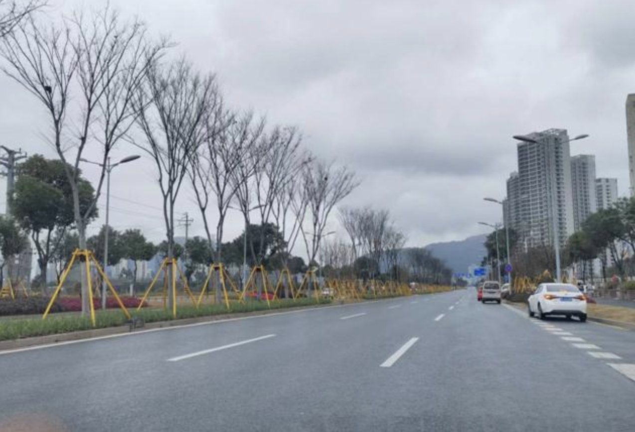 甌海區(qū)今匯路（寧波路-集賢路）道路改造工程